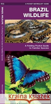 Brazil Wildlife: A Folding Pocket Guide to Familiar Animals James Kavanagh 9781583559901