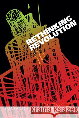 Rethinking Revolution Leo Panitch (York University Toronto), Greg Albo, Leo Panitch, Greg Albo 9781583676332 Monthly Review Press,U.S.