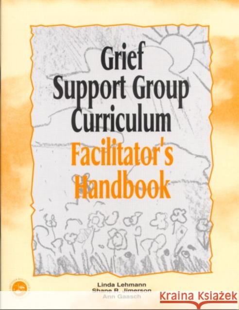 Grief Support Group Curriculum: Facilitator's Handbook Lehmann, Linda 9781583910962 Routledge