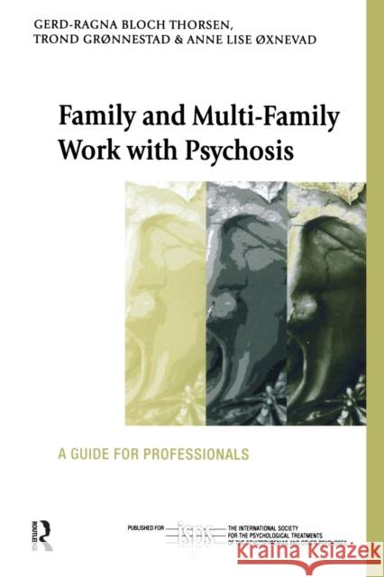 Family and Multi-Family Work with Psychosis: A Guide for Professionals Bloch Thorsen, Gerd-Ragna 9781583917275 Routledge