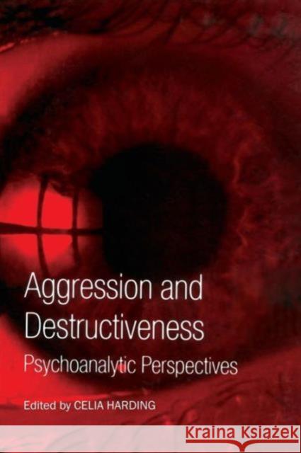 Aggression and Destructiveness: Psychoanalytic Perspectives Harding, Celia 9781583918852 Routledge