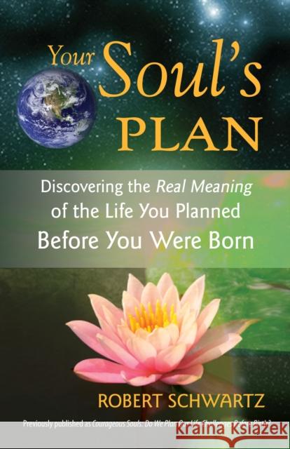 Your Soul's Plan: Discovering the Real Meaning of the Life You Planned Before You Were Born Schwartz, Robert 9781583942727 Frog Ltd