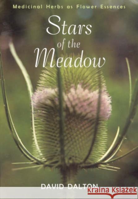 Stars of the Meadow: Medicinal Herbs as Flower Essences David Dalton 9781584200352 SteinerBooks, Inc