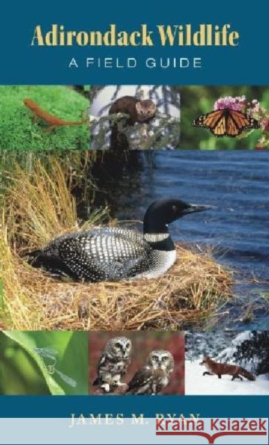 Adirondack Wildlife James M. Ryan 9781584657491 University Press of New England