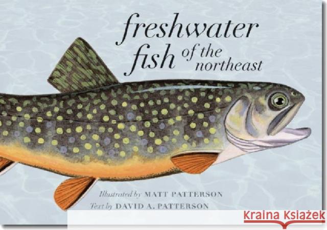 Freshwater Fish of the Northeast Matt Patterson, David A. Patterson 9781584658191 University Press of New England