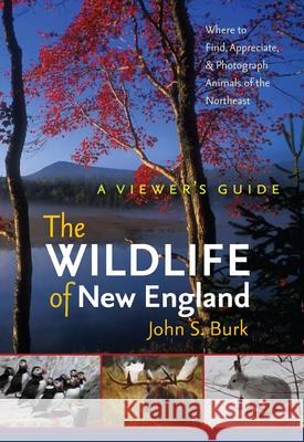 The Wildlife of New England: A Viewer's Guide Burk, John S. 9781584658344 University Press of New England