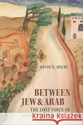 Between Jew & Arab: The Lost Voice of Simon Rawidowicz David N. Myers 9781584658542 Brandeis University Press