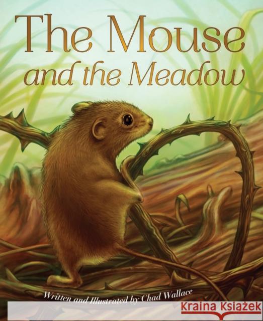 The Mouse and the Meadow Wallace, Chad 9781584694823