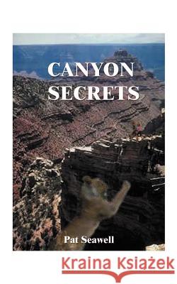 Canyon Secrets Pat Seawell 9781585008612 Authorhouse