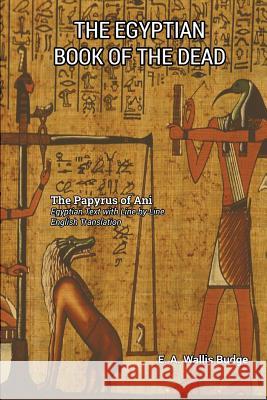 The Egyptian Book of the Dead E a Wallis Budge 9781585093656 Book Tree,US