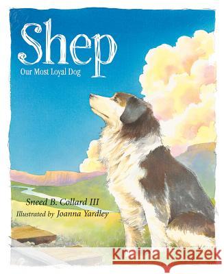 Shep: Our Most Loyal Dog Sneed B., III Collard Joanna Yardley 9781585362592 Sleeping Bear Press