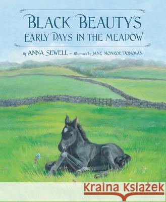 Black Beauty's Early Days in the Meadow Anna Sewell Jane Monroe Donovan 9781585362967 Sleeping Bear Press