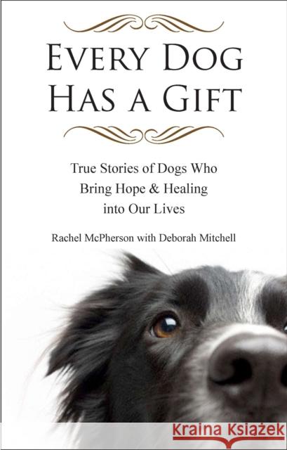 Every Dog Has a Gift: True Stories of Dogs Who Bring Hope & Healing Into Our Lives McPherson, Rachel 9781585428991