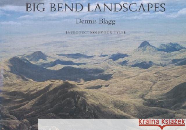 Big Bend Landscapes Blagg, Dennis 9781585442027 Texas A&M University Press