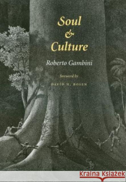 Soul and Culture, Volume 9 Gambini, Roberto 9781585442140 Texas A&M University Press