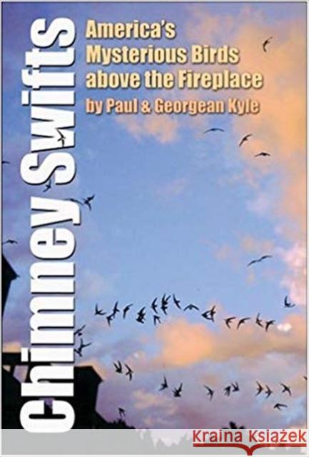 Chimney Swifts: America's Mysterious Birds Above the Fireplace Paul D. Kyle Georgean Z. Kyle 9781585443710 Texas A&M University Press