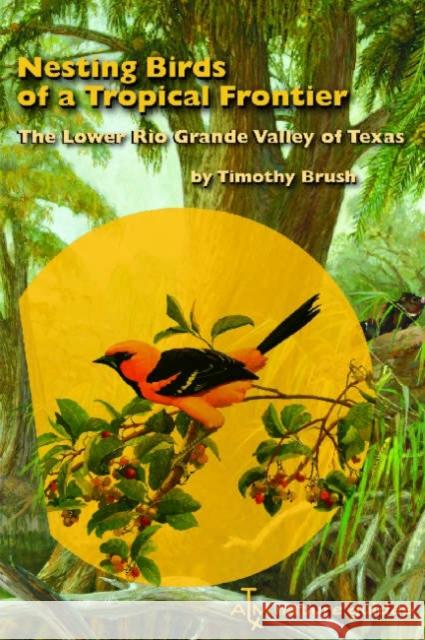 Nesting Birds of a Tropical Frontier: The Lower Rio Grande Valley of Texas Brush, Timothy 9781585444366 Texas A&M University Press