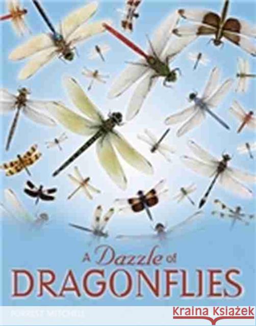 A Dazzle of Dragonflies Forrest Lee Mitchell James L. Lasswell 9781585444595