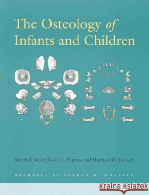 The Osteology of Infants and Children Brenda J. Baker Tosha L. Dupras Matthew W. Tocheri 9781585444656