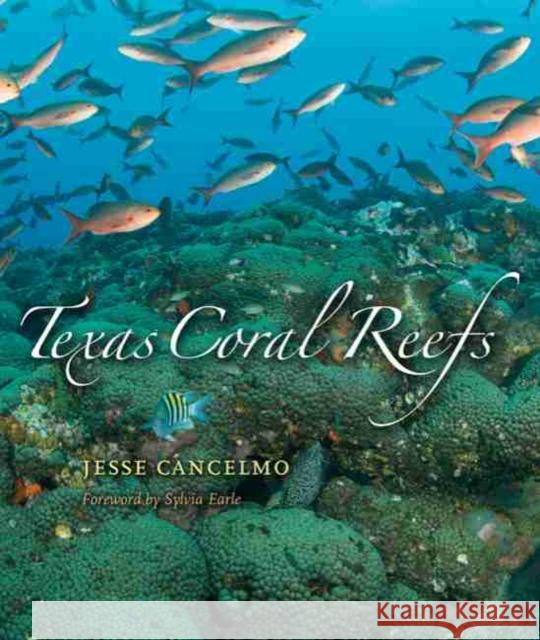 Texas Coral Reefs Jesse Cancelmo 9781585446339 Texas A&M University Press