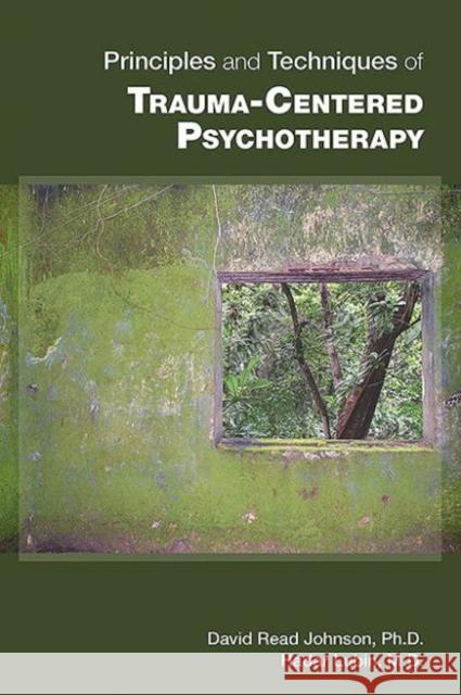 Principles and Techniques of Trauma-Centered Psychotherapy David R. Johnson Hadar Lubin 9781585625147