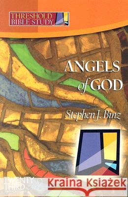 The Angels of God Stephen J. Binz 9781585955183