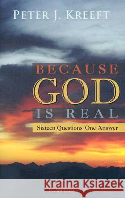 Because God Is Real: Sixteen Questions, One Answer Fred Khumalo 9781586172008 0