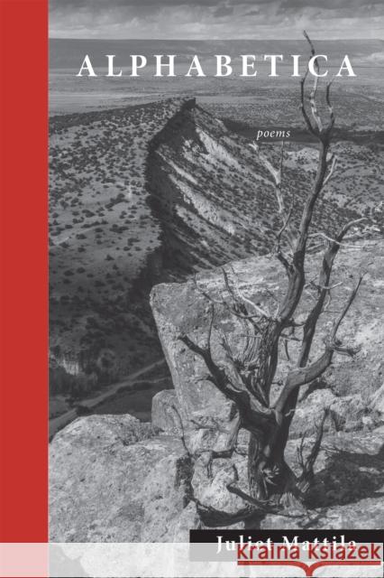Alphabetica Juliet Mattila 9781586541323 Story Line Press