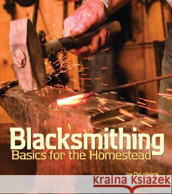 Blacksmithing Basics for the Homestead Joe Delaronde Delaronde Joe 9781586857066 Gibbs Smith Publishers