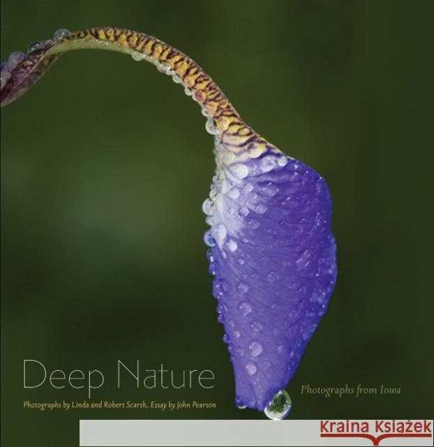Deep Nature: Photographs from Iowa Scarth, Linda 9781587298240 University of Iowa Press