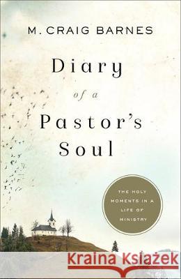 Diary of a Pastor's Soul Barnes, M. Craig 9781587434907