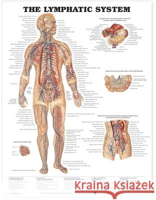 The Lymphatic System Anatomical Chart  Anatomical Chart Company 9781587790263 0