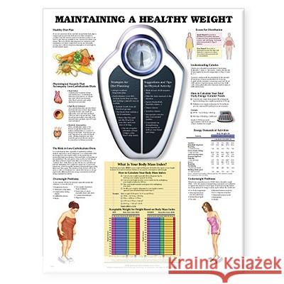 Maintaining A Healthy Weight  9781587794100 ANATOMICAL CHART CO ,U.S.