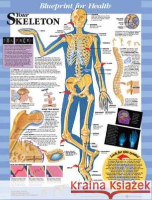 Blueprint for Health Your Skeleton Chart  9781587797347 ANATOMICAL CHART CO ,U.S.