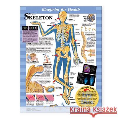 Blueprint for Health Your Skeleton Chart  9781587797354 ANATOMICAL CHART CO ,U.S.