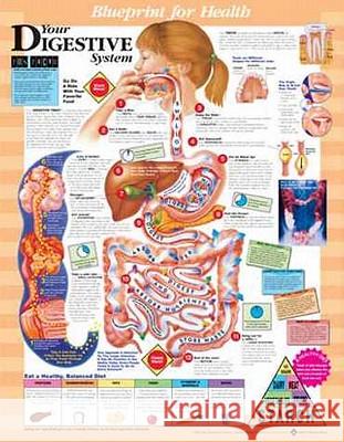 Blueprint for Health Your Digestive System Chart  9781587797385 ANATOMICAL CHART CO ,U.S.