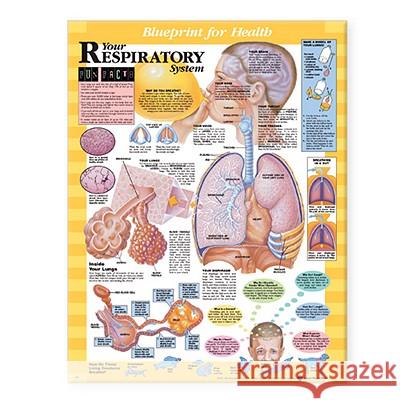 Blueprint for Health Your Respiratory System Chart Anatomical Chart                         Acc                                      Anatomical Chart Company 9781587797415 Lippincott Williams & Wilkins