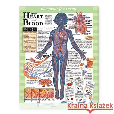 Blueprint for Health Your Heart and Blood Chart  9781587797453 ANATOMICAL CHART CO ,U.S.