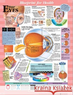 Blueprint for Health Your Eyes Chart  9781587797484 ANATOMICAL CHART CO ,U.S.