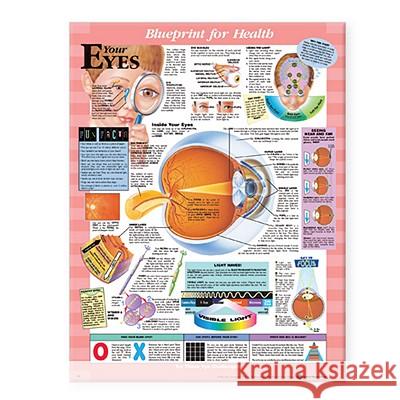 Blueprint for Health Your Eyes Chart  9781587797491 ANATOMICAL CHART CO ,U.S.