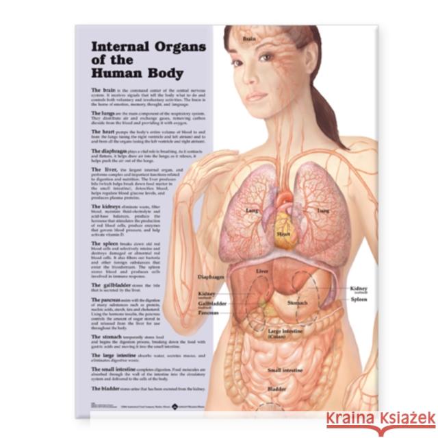 Internal Organs of the Human Body Anatomical Chart  Anatomical Chart Company 9781587798283 0