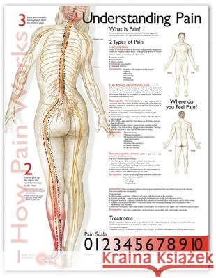 Understanding Pain Anatomical Chart  Anatomical Chart Company 9781587799839 0