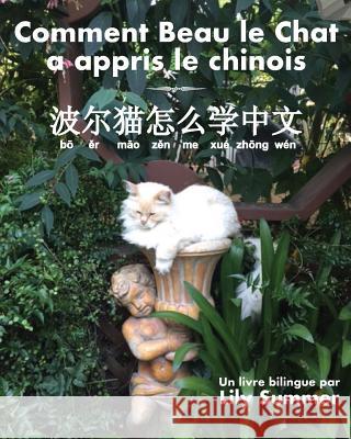 Comment Beau le Chat a appris le chinois: Un livre bilingue Summer, Lily 9781587903915 Regent Press