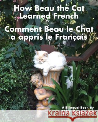 How Beau the Cat Learned French / Comment Beau le Chat a appris le Français: A Bilingual Book Lily Summer 9781587903939 Regent Press