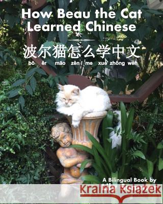 How Beau the Cat Learned Chinese Lily Summer 9781587903946 Regent Press