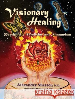 VISIONARY HEALING Psychedelic Medicine and Shamanism Alexander Shester 9781587906367 Regent Press
