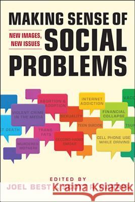 Making Sense of Social Problems : New Images, New Issues Joel Best Scott R. Harris  9781588268808