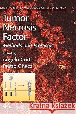 Tumor Necrosis Factor: Methods and Protocols Corti, Angelo 9781588292230 Humana Press