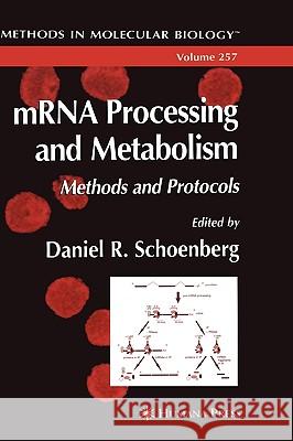 Mrna Processing and Metabolism: Methods and Protocols Schoenberg, Daniel R. 9781588292254 Humana Press