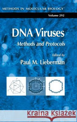 DNA Viruses: Methods and Protocols Lieberman, Paul M. 9781588293534 Humana Press